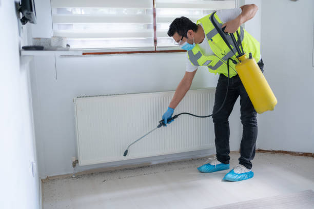 Best Pest Prevention Services  in Pce, LA